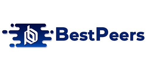 BestPeers Infosystem Pvt Ltd
